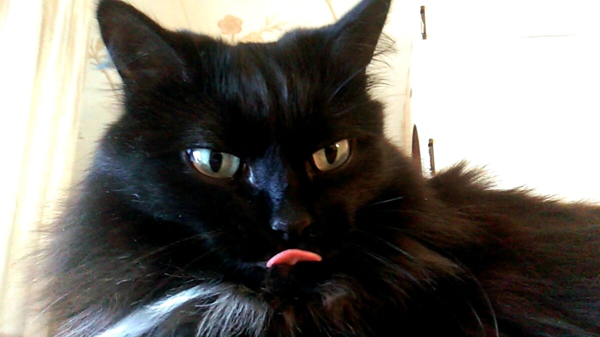 - Я вся такая внезапная, такая противоречивая вся...