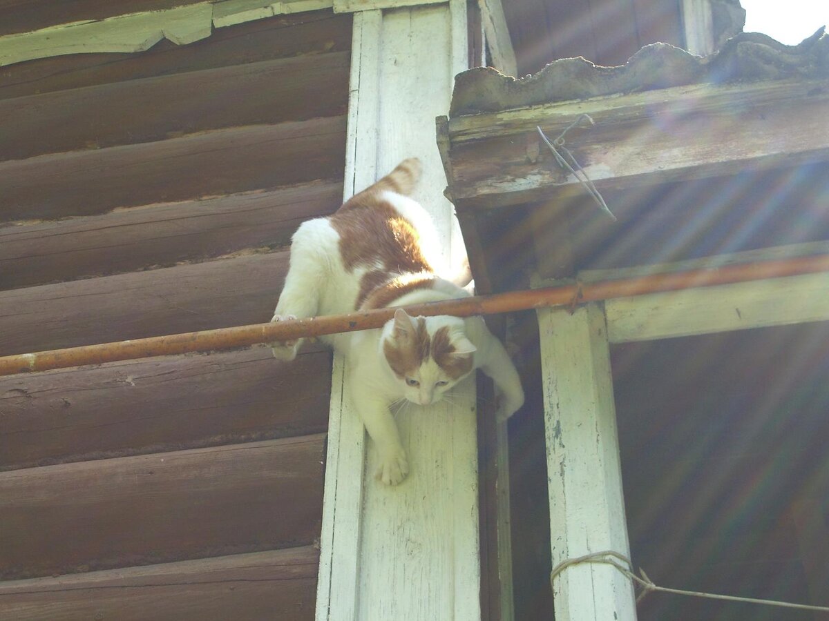 фото из личного архива
