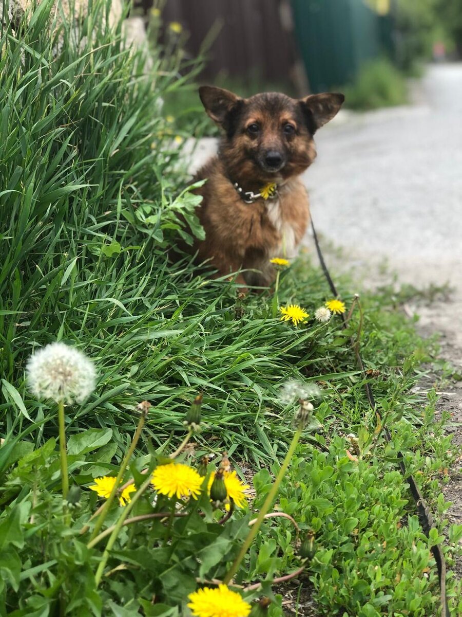 Мы забрали малышарика