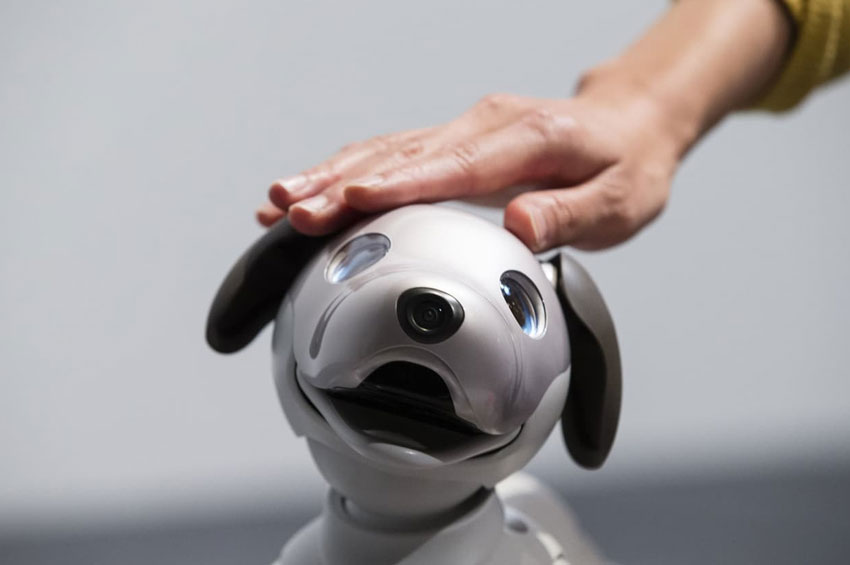 роботы животных. роботы домашние животные. робот помощник для домашних питомцев. какие домашние животные роботы. робот для кормления домашних животных.