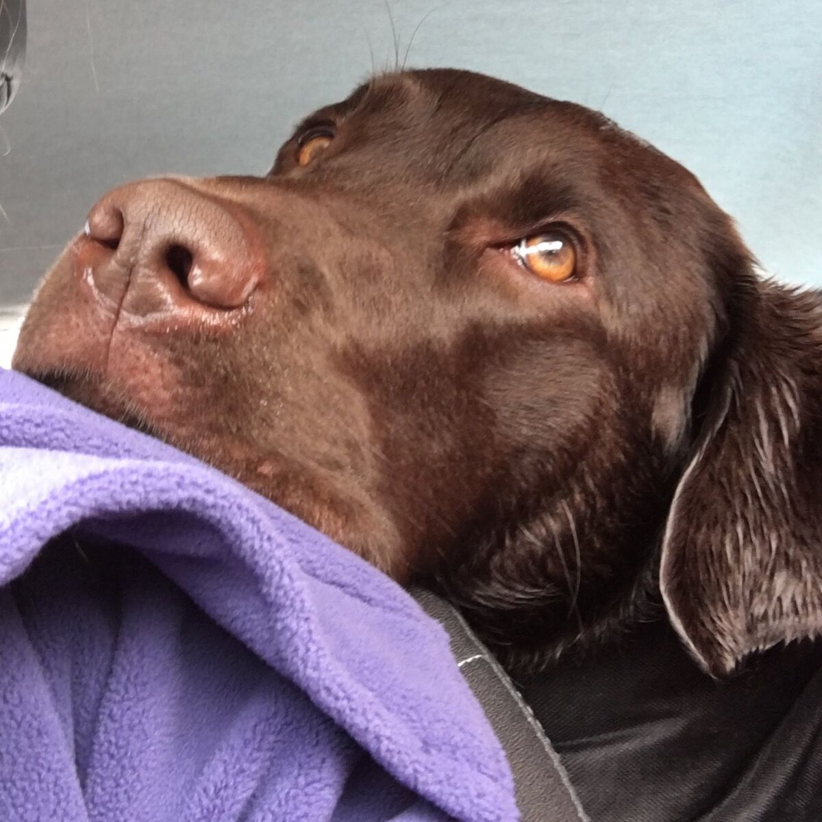 Яндекс картинки Pinterest