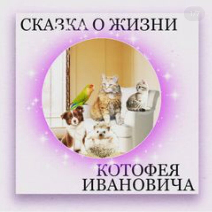 Стояли крещенские морозы. В Мурманске было - 25°. .
Продолжаем сказку?)
🐕Закончились новогодние каникулы. Алиса пошла в школу. Мама с папой ушли на работу.
🐈 Бульдозер лежал в своей коробочке и скучал.🐕Дружок хрустел под столом вкусной косточкой.
🦔Локи бегал по дому и обнюхивал все вокруг.
🦜Роберт качался на качелях в клетке.
🐱А Котофей Иванович развалился в кресле.🟣 Эх, скучно, на даче было интересно. Вздохнул Бульдозер.
- Бульдозер, когда тебе скучно, всегда что-нибудь случается - сказал Котофей Иванович
- Вот, вот подтверждаю - ответил Роберт
- И не правда - мяукнул котенок
- Котофей Иванович, а ты обещал рассказать о своей жизни - это Дружок отвлёкся от косточки
💧Все тут же обступили Котофея Ивановича.Ну значит так....

Родился я далеко, в городе Симферополь. Это на берегу чёрного моря. Жили мы с хозяином вдвоём. Он у меня из моряков был, но уже на пенсии. У него был свой маленький катер и мы часто ездили с ним на рыбалку. Уедем бывало дня на три, рыбы наловим, у костра посидим, он песни поёт, а я слушаю.Потом домой приедем, так и жили вместе он, да я)

А в Мурманске мы оказались случайно. Друг ему написал с которым он в море служил, приезжай в гости. Мы и поехали.Собрались они на рыбалку, ну и конечно меня с собой взяли. Вот ловят они рыбу, уху варят и разговаривают.

А мне скучно стало. Я пошёл прогуляться, вдруг вижу из леса медведь идет. Я испугался и бежать, медведь за мной. Так и бежал я пока сил хватило. А потом на дерево залез и сидел там всю ночь. Утром стал слезать, да не удержался и плюхнулся в реку, так течением и унесло меня. Больше я хозяина не видел.

🟣 Долго я ходил по лесу пока вышел к людям. Смотрю домики стоят и Алиса наша бегает.
Она меня в дом пустила, накормила. Я уснул и проснулся только когда ее папа с мамой вернулись.
- Это что за облезлое чудовище ты домой пустила - спросила ее мама.- Не трогай его - сказал папа - видать досталось бедняге, скорее всего потерялся и по лесу пробирался, видишь вся шерсть в колючках.

🐱Потом Алиса меня вычесывала и купала. А когда они уезжали с дачи, то забрали меня с собой. С тех пор я живу у них.
- А ты скучаешь по своему бывшему хозяину? - спросил Локи.
- Конечно, даже снится иногда, но я уже давно живу здесь и полюбил Алису и ее родителей, а так же подружился с вами. Так что я не жалею, что оказался в Мурманске
.🟣 Вот так дорогой мой, маленький читатель Котофей Иванович и оказался так далеко от места где он родился и очень хорошо, что ему встретилась такая добрая и хорошая семья. А ведь все могло сложиться по другому.

🟣 Вопрос у меня к вам вот какой : " Можно ли в лесу уходить далеко от родителей и что может случиться если отойти?"🔮 На этом я с вами прощаюсь до новой сказки.
Всегда с вами Наташа.😉