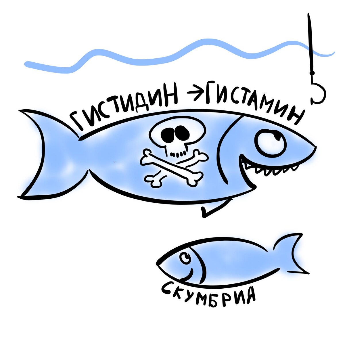 Скомброид