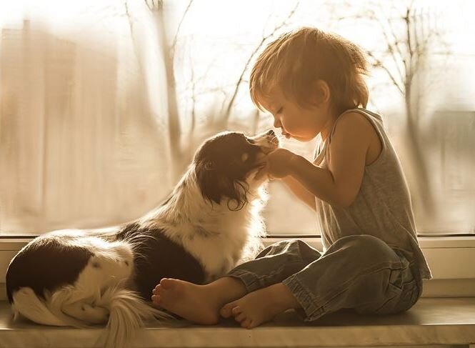 pinterest.ru