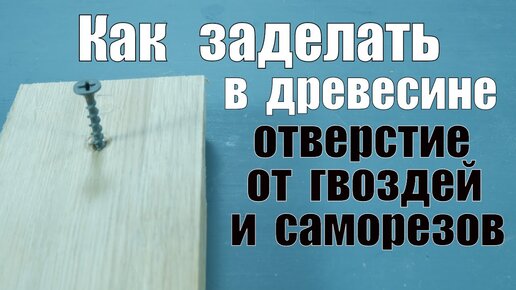 Заделка отверстий из под саморезов в древесине Столярные уроки