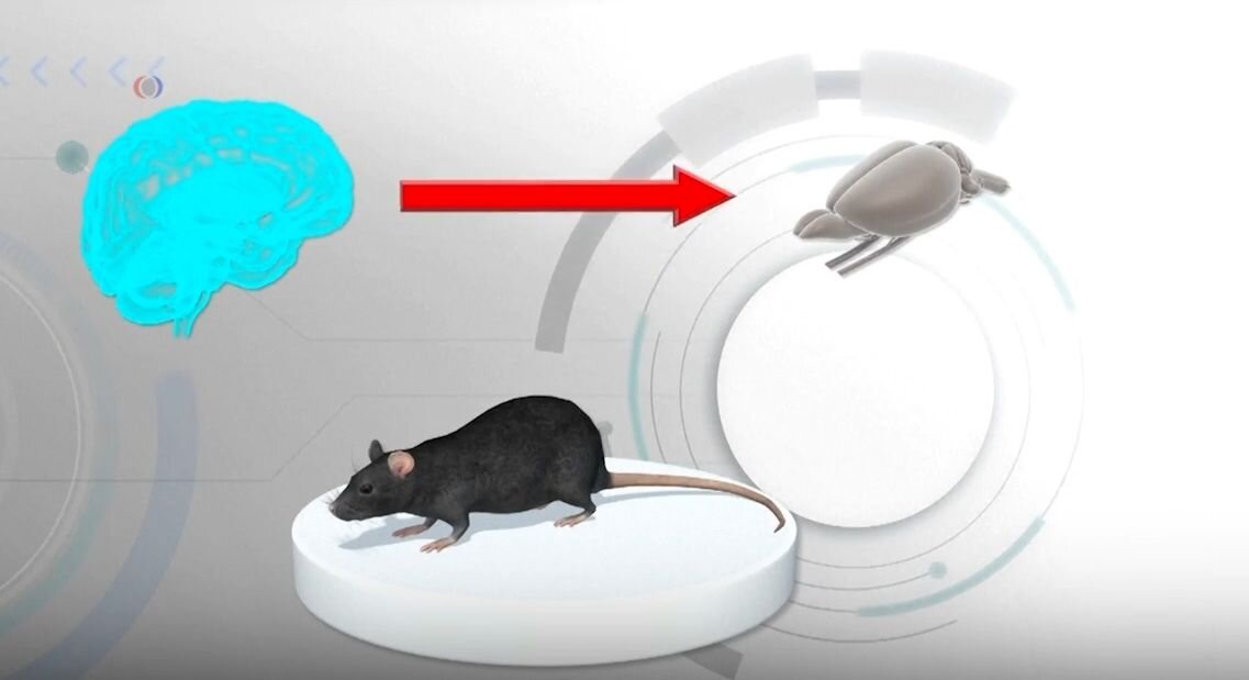 Визуализация опыта