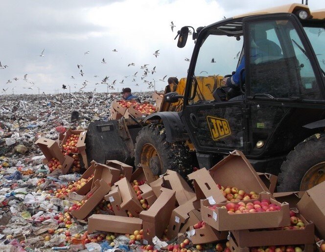 фото из интернета