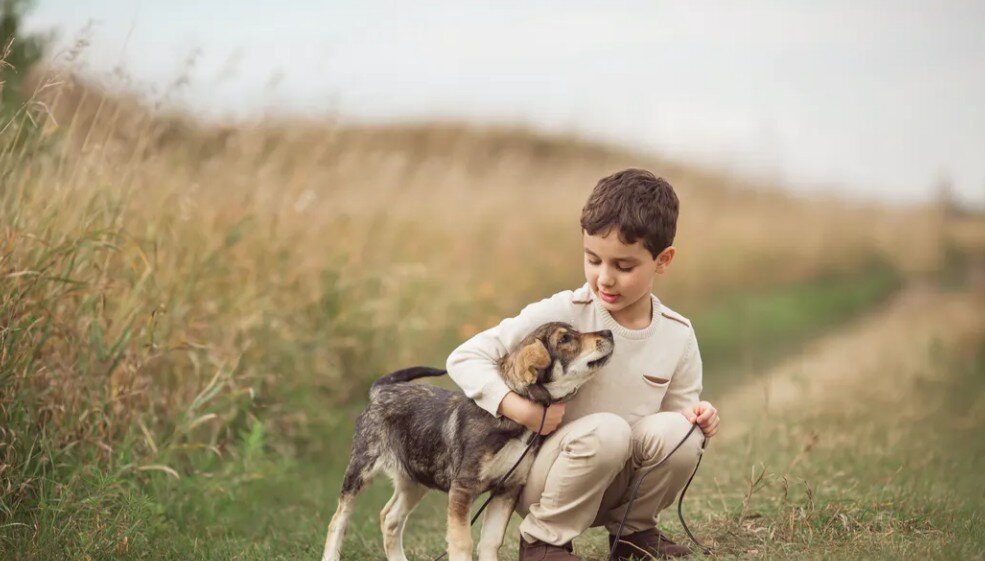 Девушка и мальчик с большой собакой в парке в лете Стоковое Изображение - изобра