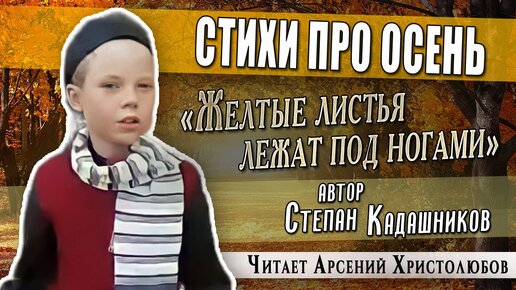 Веселые стихи для детей на конкурс чтецов