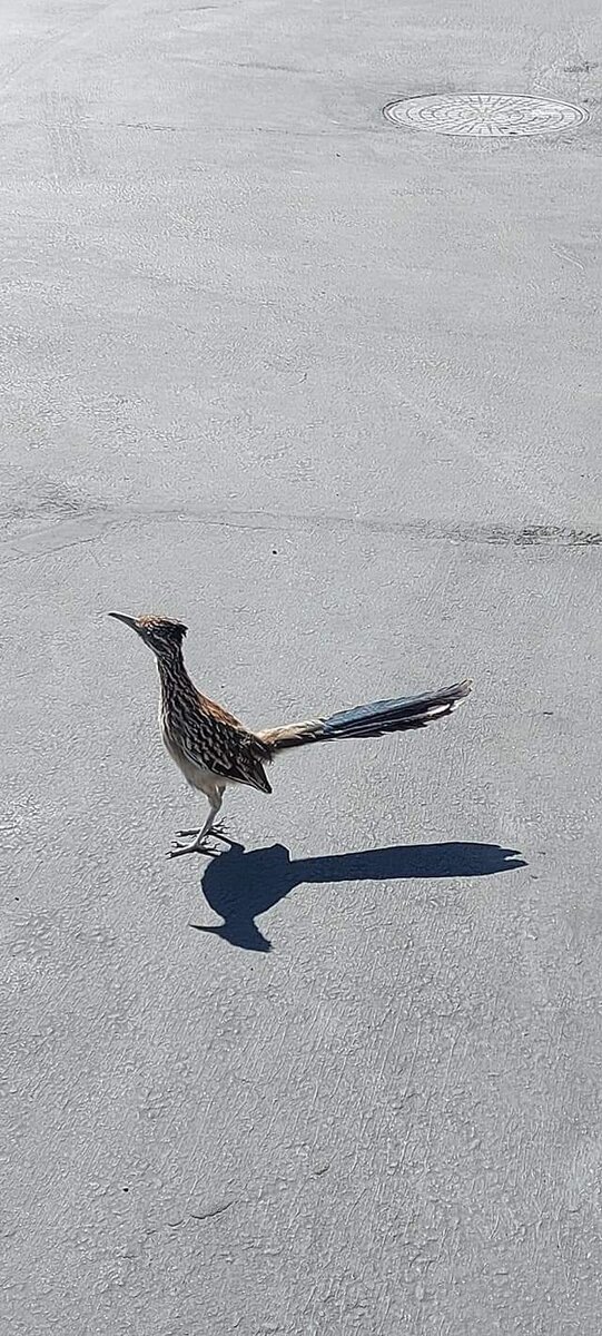 Фото  из личного архива автора. 