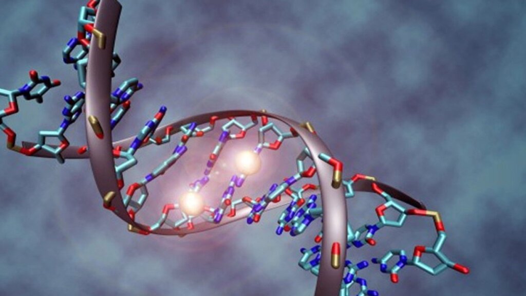 Источник: https://livrezon.com/publication/kritika-evgeniki-po-bertranu-rasselu