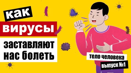 Как вирус проникает в организм и атакует его