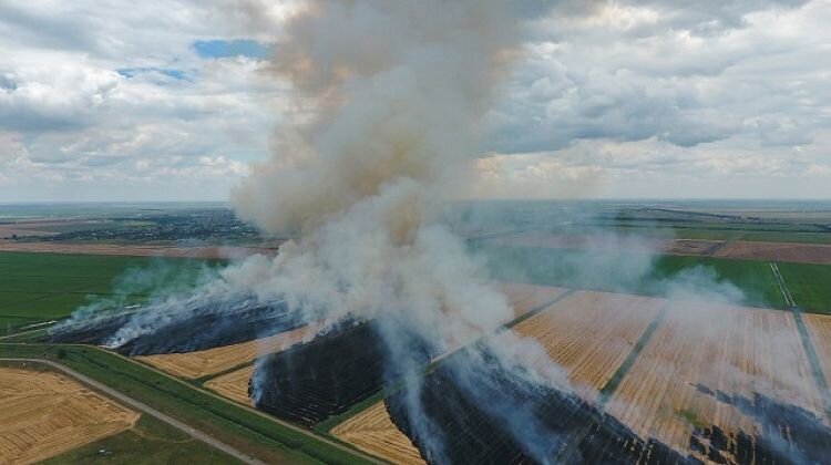 Фото с сайта красноармейскийрайон.рф.