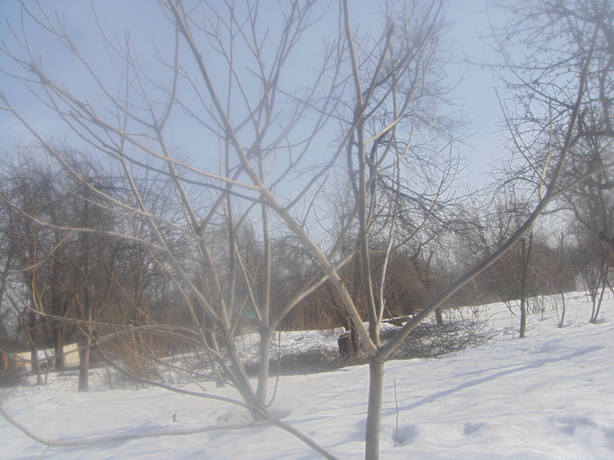 (ф. личного архива)