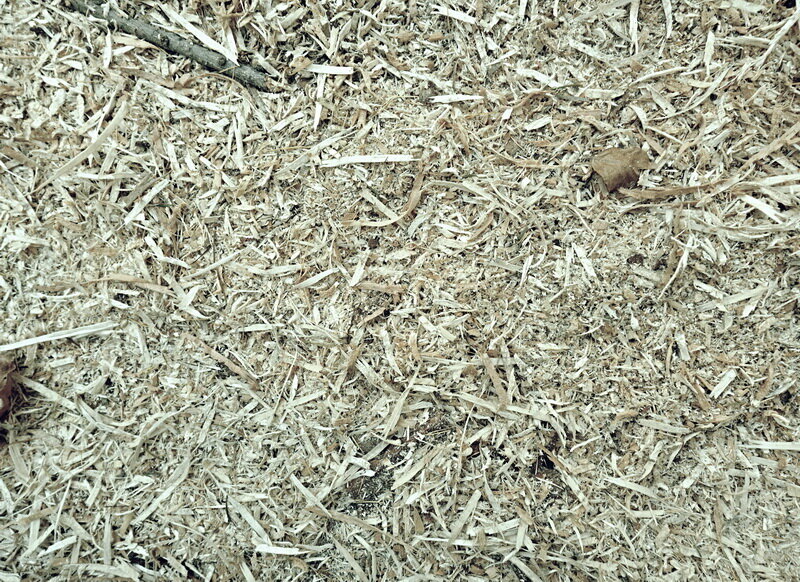 Стружка на даче. Иллюстрация для статьи используется по стандартной лицензии