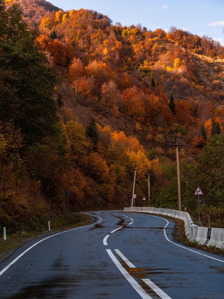 Фотографии из канала Михаила Гасиева: https://t.me/Mikhoshka
