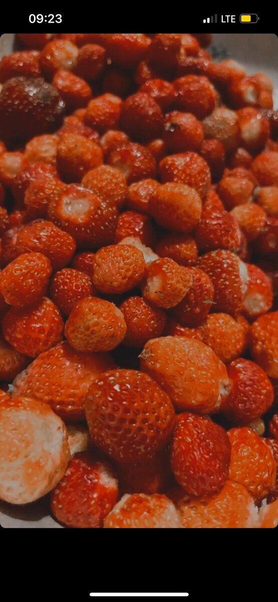 Вот в детстве почему-то свежую ели мало, родители старались все пустить на заготовки