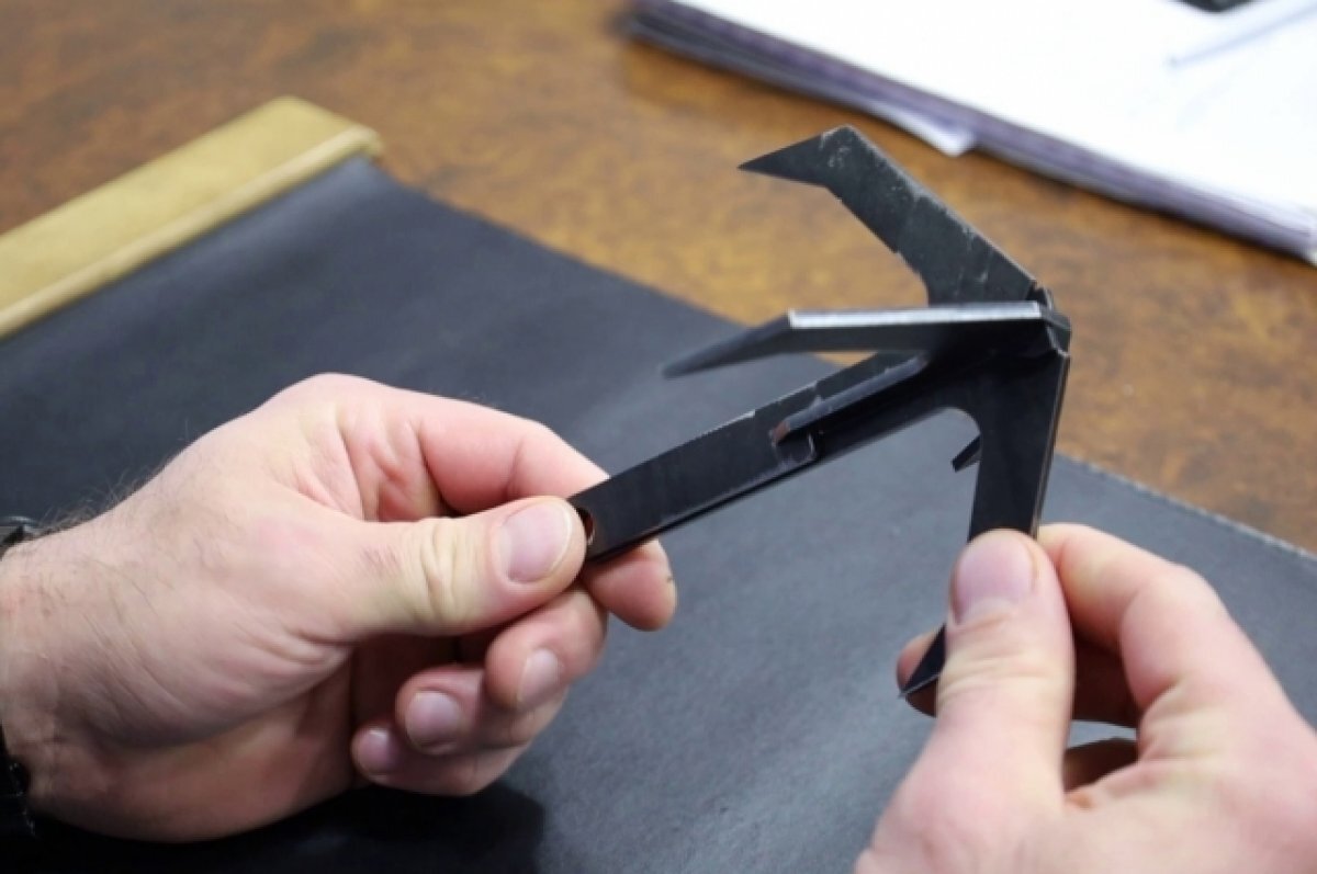    Новомосковск отправит в зону СВО саперные кошки