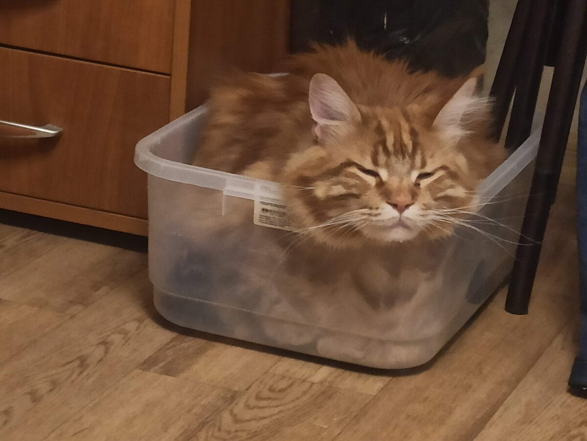 иллюстрация из яндекс картинки.