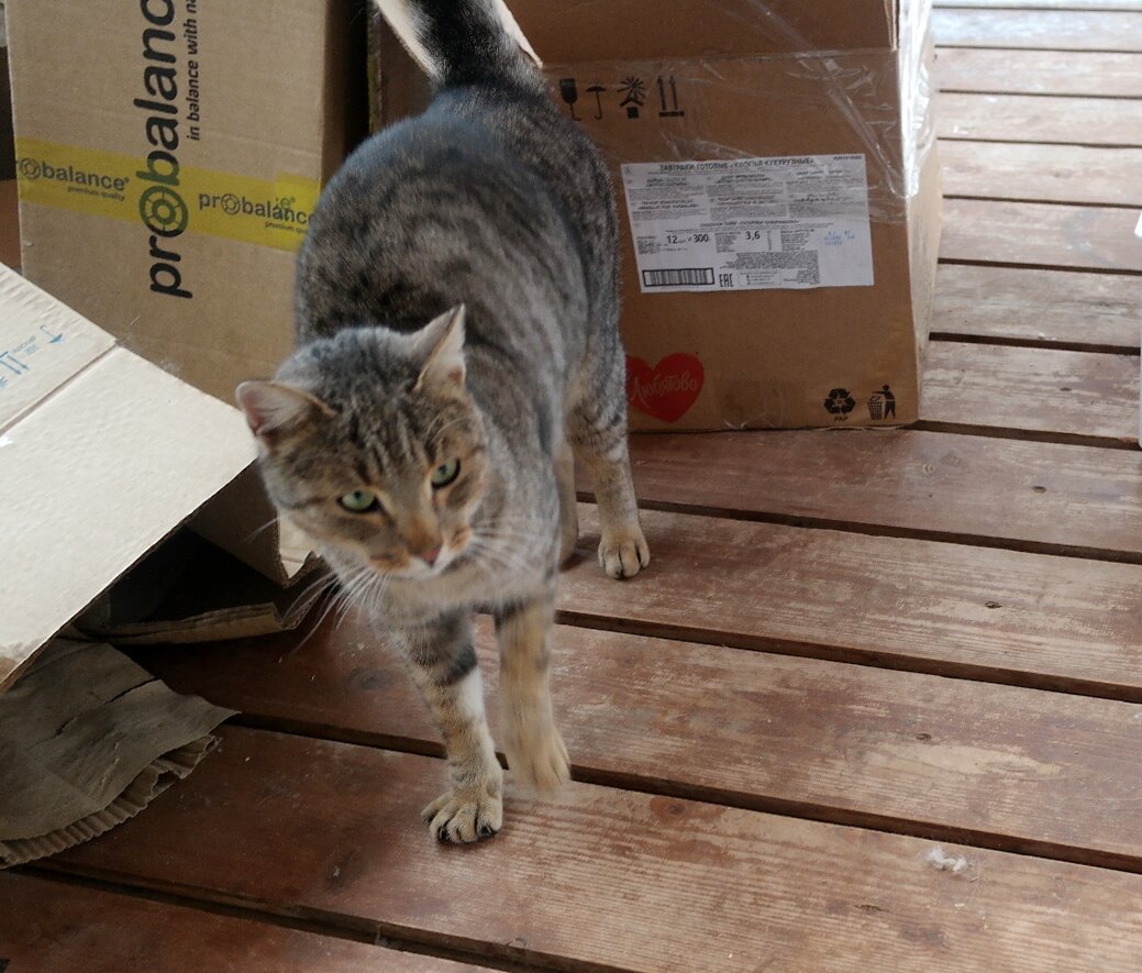 Фото из домашнего архива.