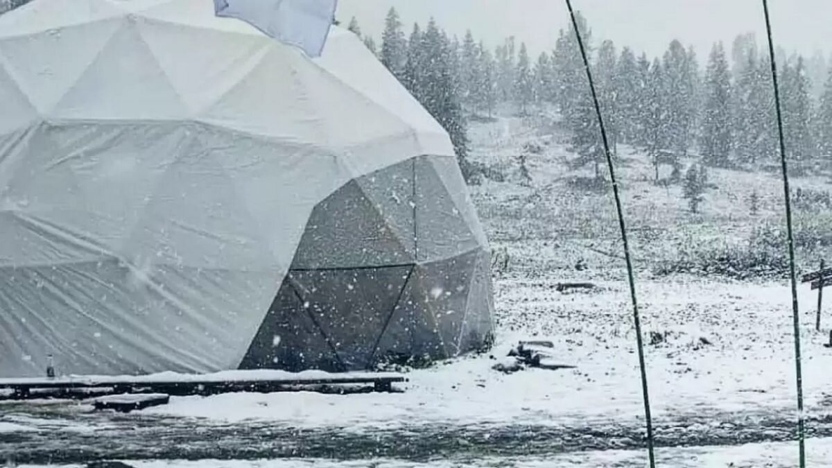    Фото: Altay-pro/Instagram Август Макаров