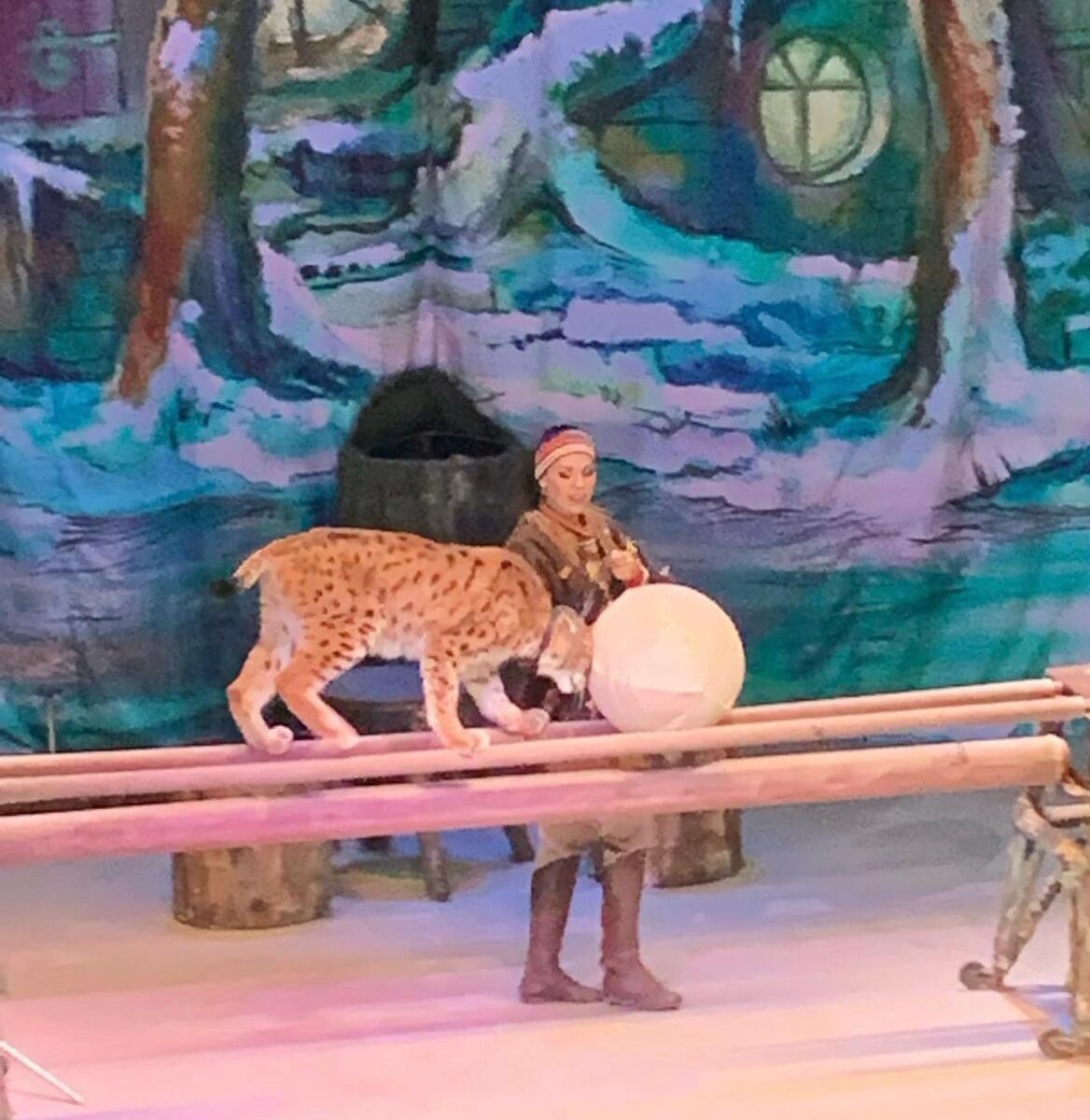 Спектакль По следам Снежной королевы в театре Уголок Дурова © "Покажу Москву"