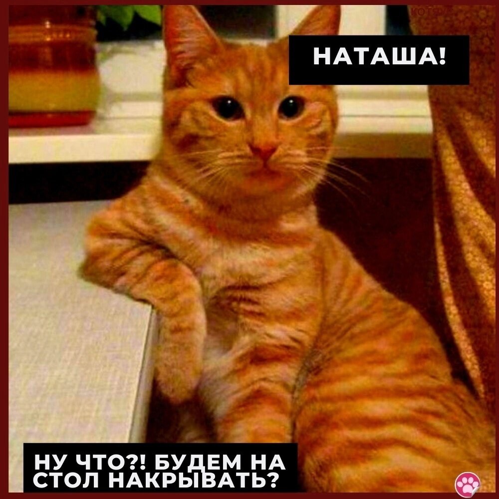 иллюстрация из яндекс картинки.