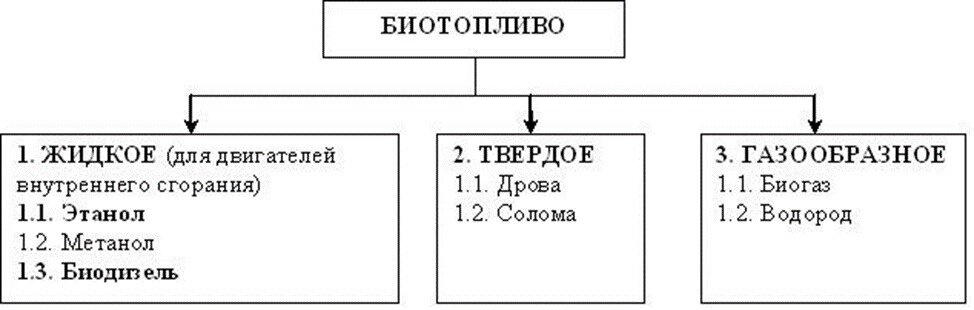 Особенности производства биодизеля