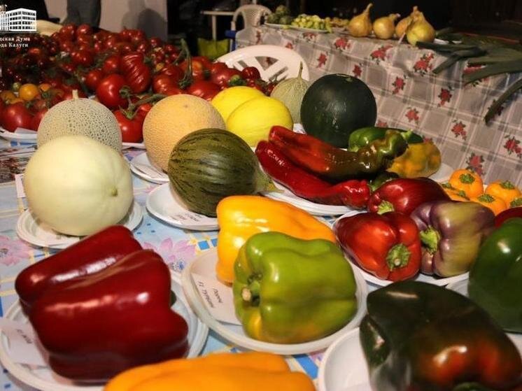     Фото: пресс-службы Городской Думы Калуги