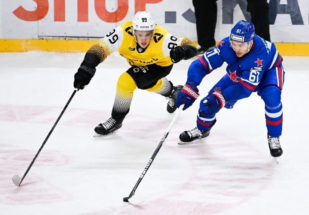    Фото: ХК СКА