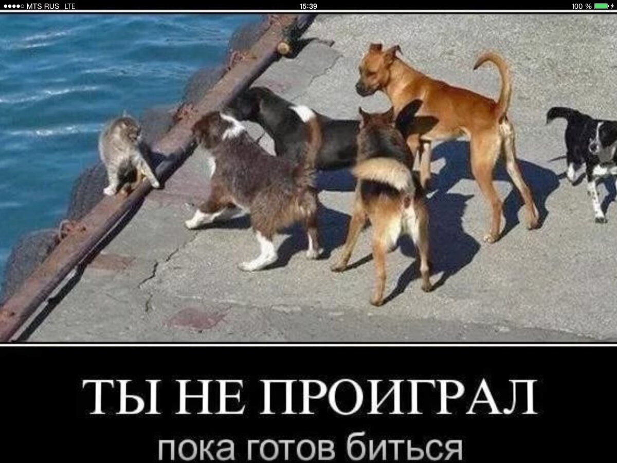 Мы уже однажды пытались победить. Мы уже однажды пытались победить