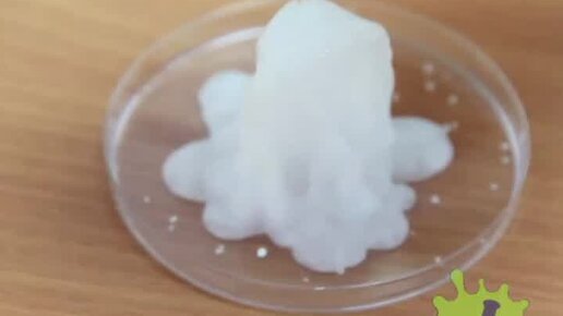 Шоу профессора Николя | Моментальная кристаллизация. Как это возможно ...