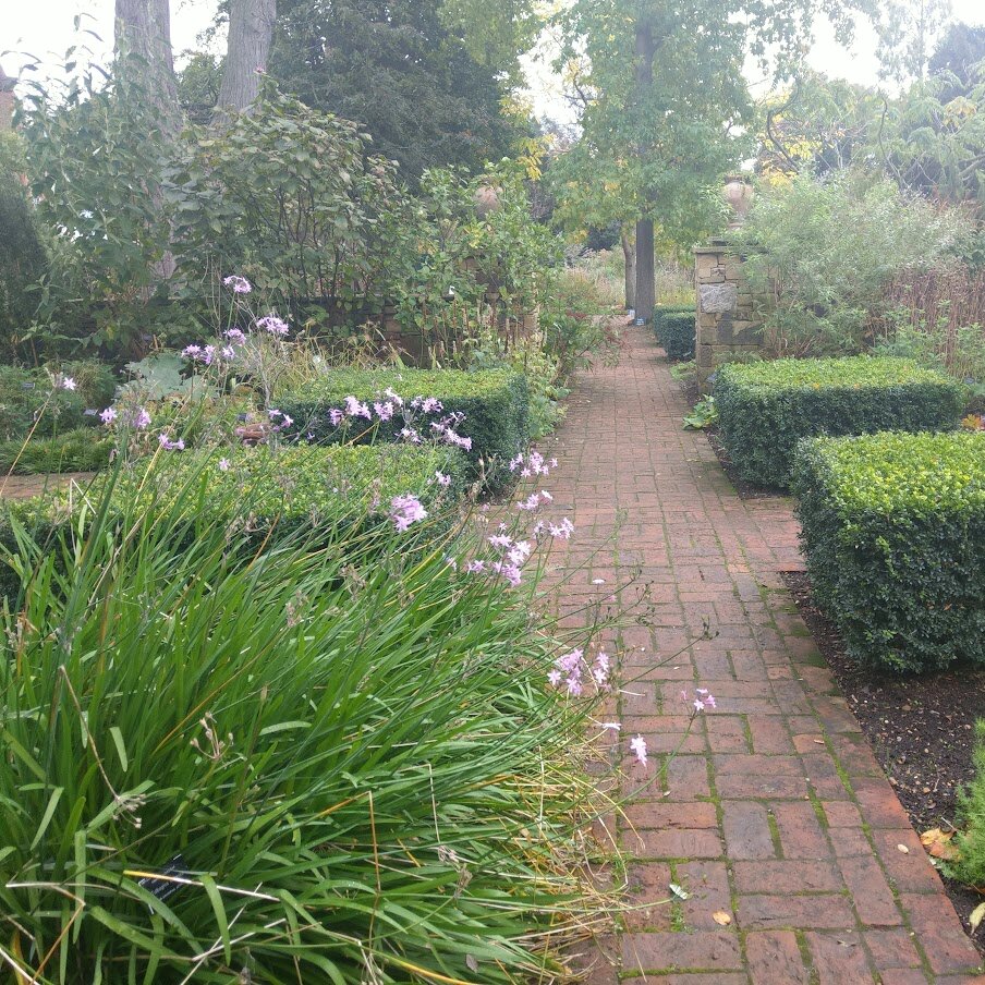 В саду Chelsea Physic Garden