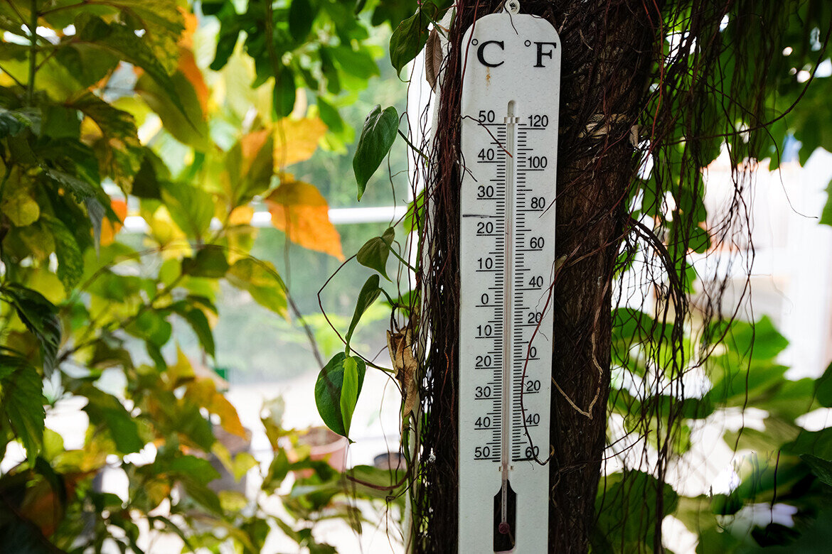 Сразу три температурных рекорда побиты в Татарстане в сентябре. Фото: © «Татар-информ»