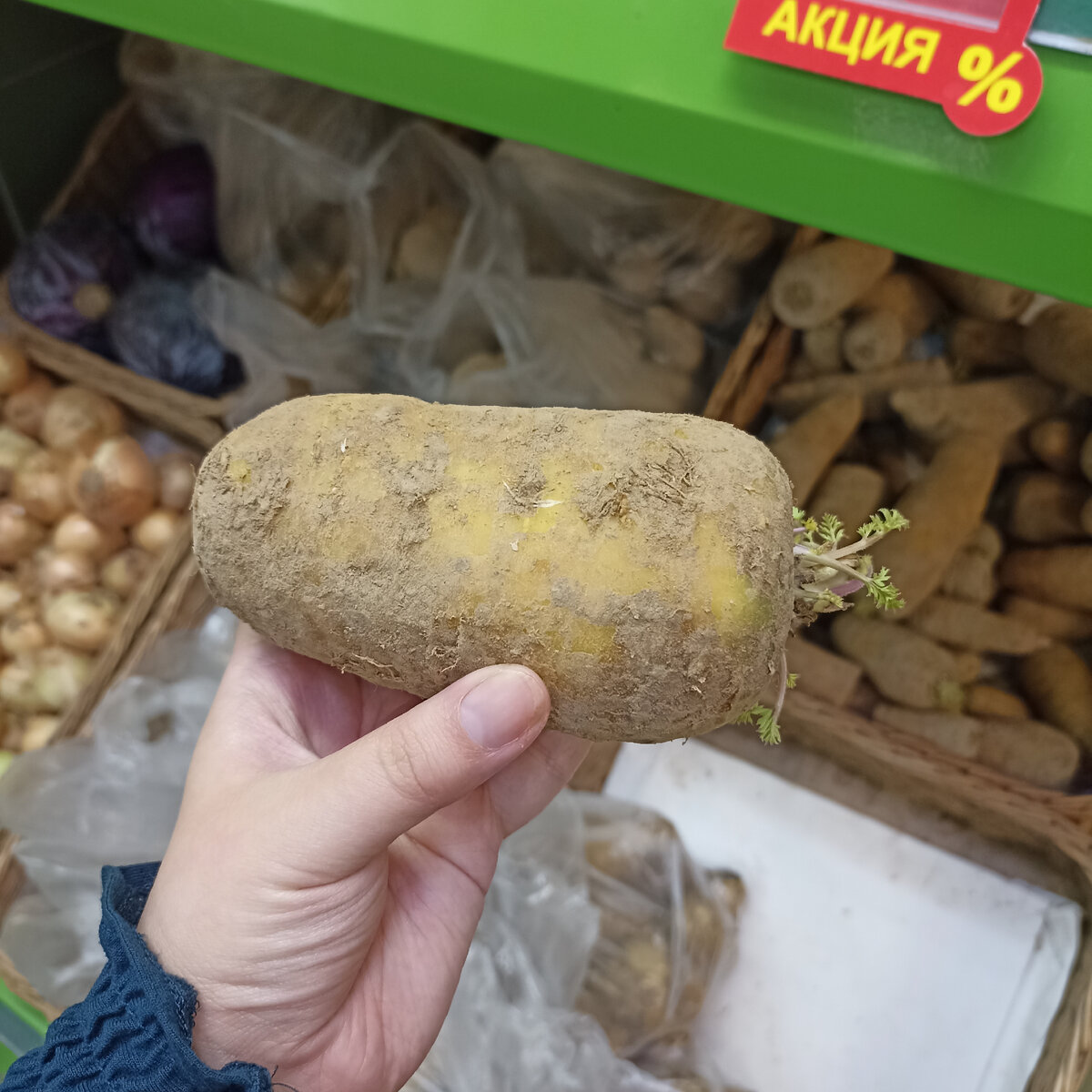 Странный корнеплод