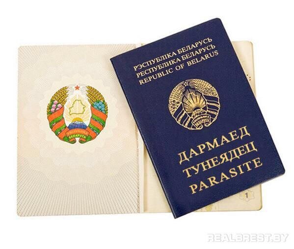 Где взять деньги на возврат уплаченного налога и почему сами «тунеядцы» не спешат забирать несправедливо отобранное государством?