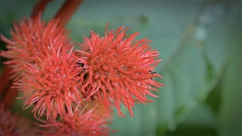 Фото: pixabay.com
