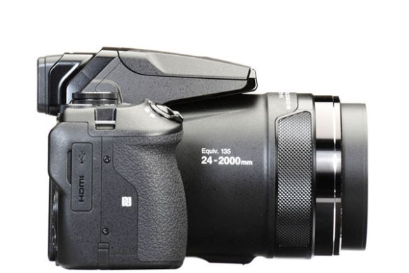 Смена для компактной камеры Nikon Coolpix P900