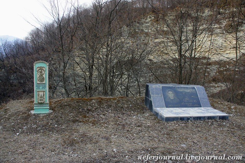 Аргунское ущелье борзой