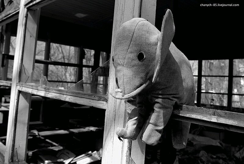 Заброшка Слоник. Скульптуры слонов в заброшенном лагере. Слоник заброшка Волхов. Супер банимен