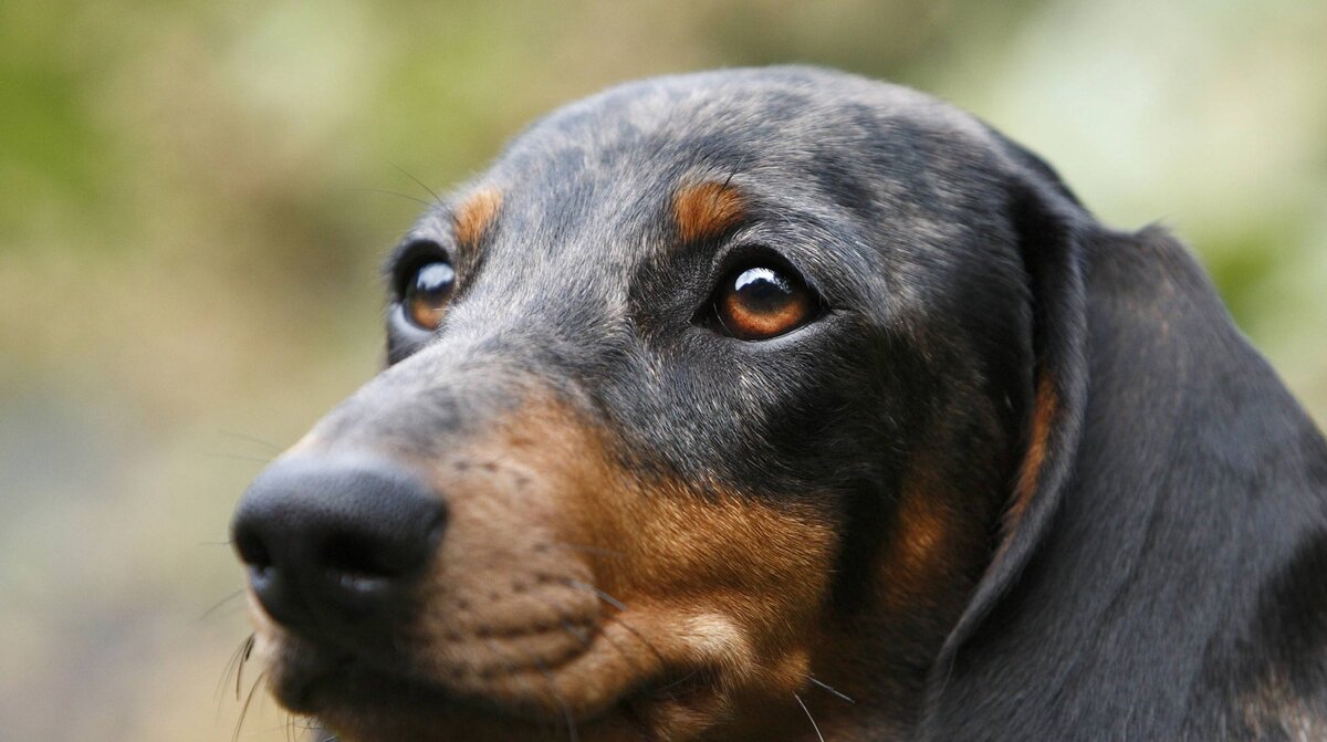 Фото: © GLOBAL LOOK press