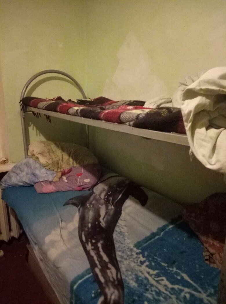 Моя кровать сверху, нижняя занята мужчиной из Калмыкии.