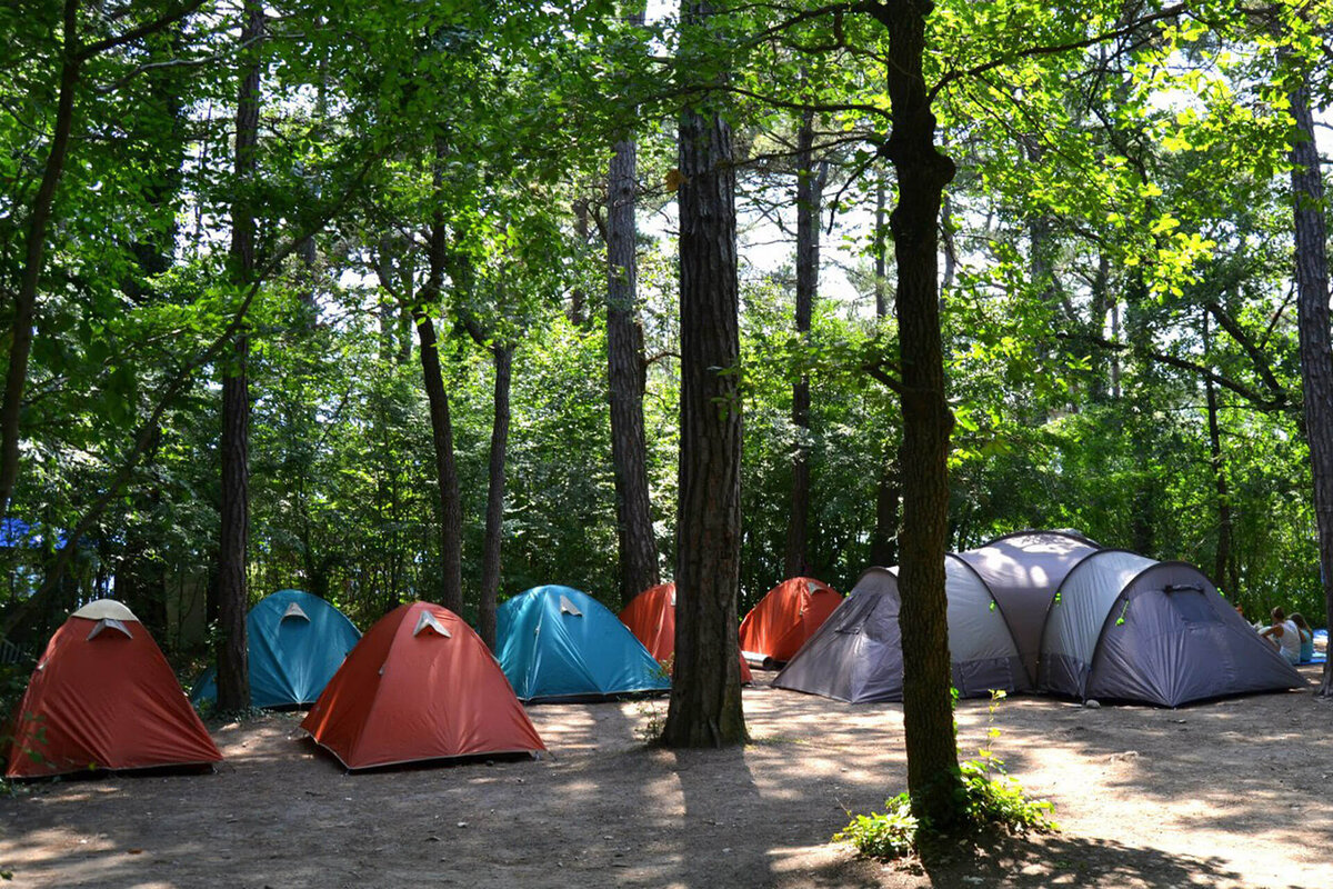 Camping area