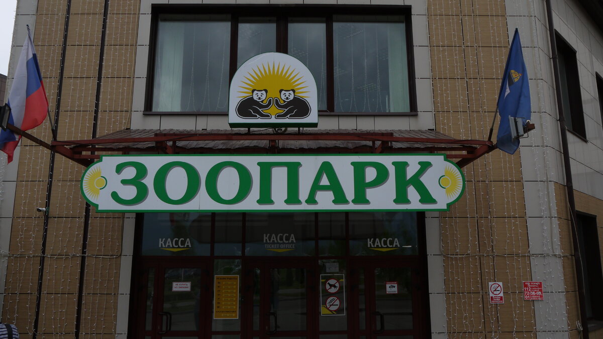 Ярославский Зоопарк | С высоты птичьего полета | Дзен