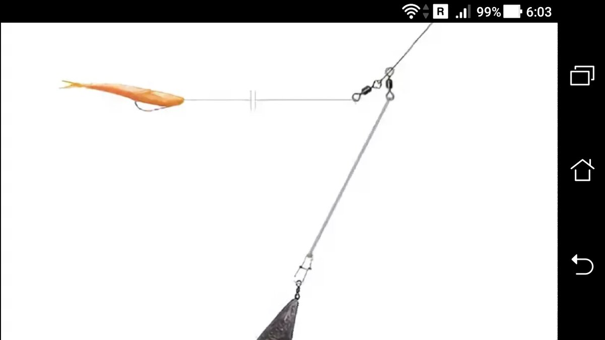 фото отводного поводка со стальным поводком для хищника