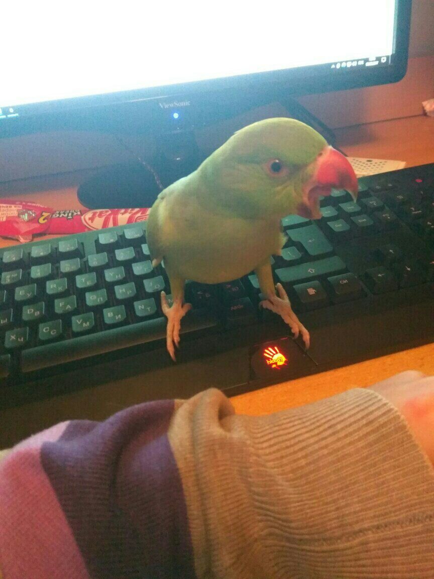 -2