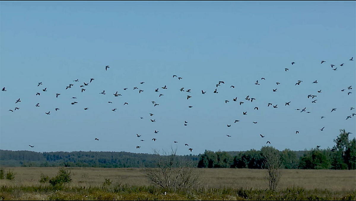 ТЕКСТ И ФОТО АЛЕКСЕЙ ПОПОВ И ДМИТРИЙ ГОРКОВЕЦ