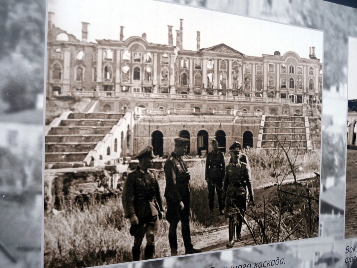 Фото петродворца после войны