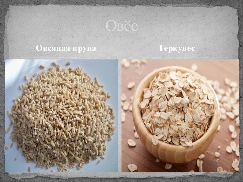 Крупа овсяная, толокно, Геркулес