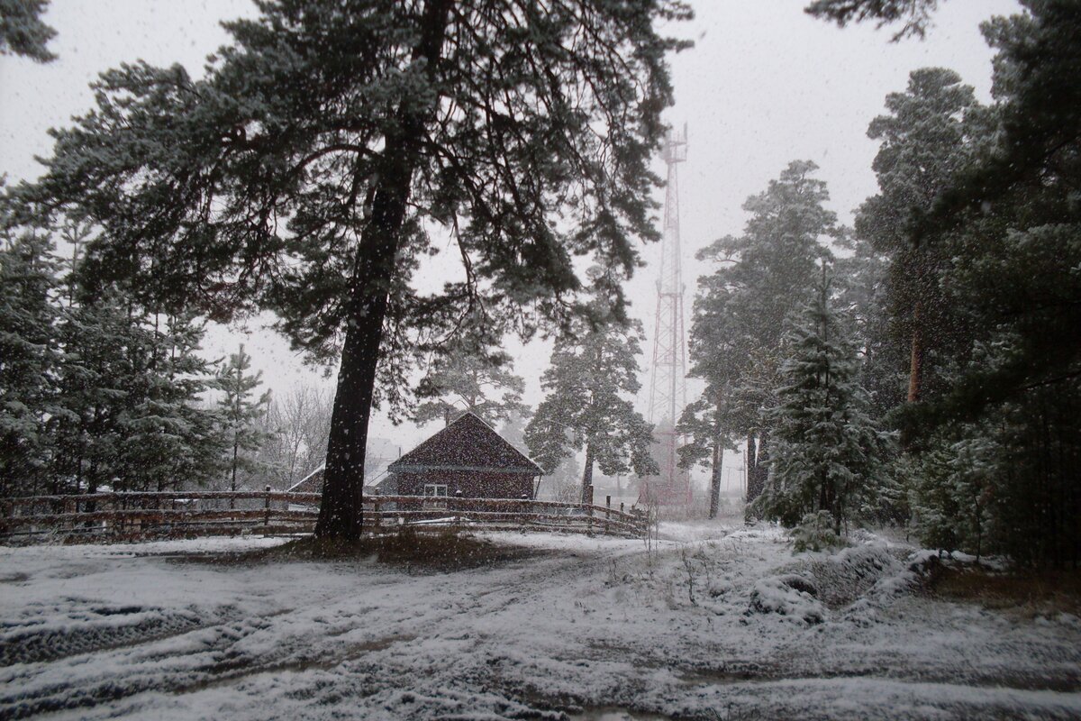 Купленный , случайно , домик.